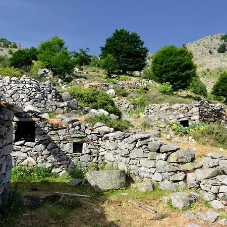 A.casetta