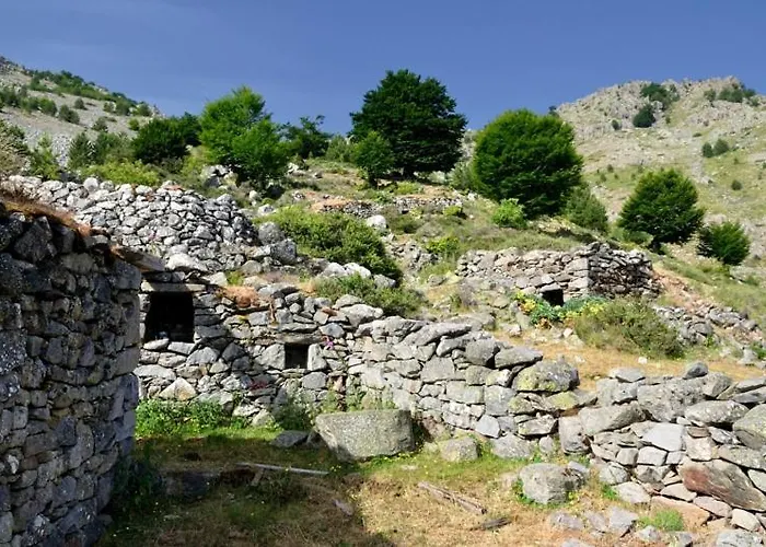 A.casetta