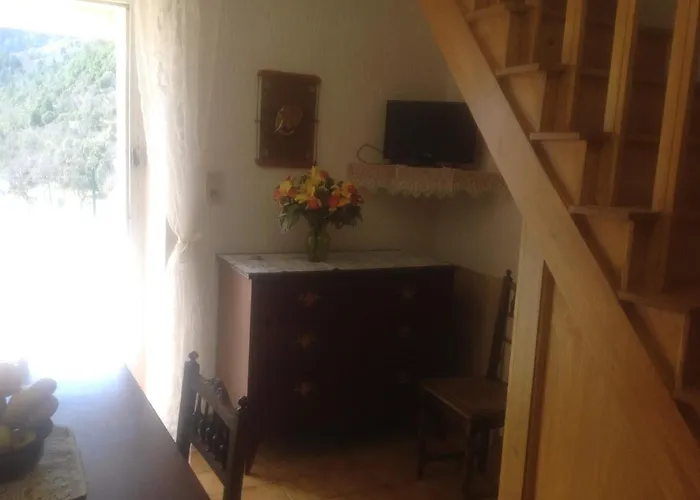 A.casetta * 圣皮得迪维纳